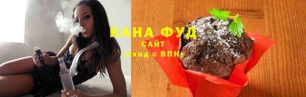 индика Армянск