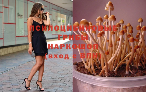 Альфа ПВП Арсеньев