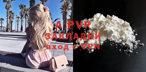 индика Армянск