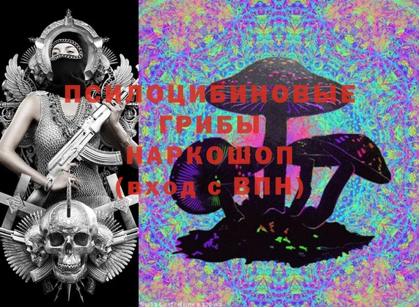 индика Армянск