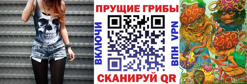 Псилоцибиновые грибы прущие грибы  Заозёрный 